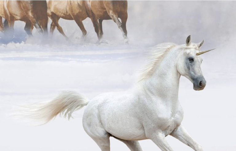 Running with Unicorns at the Barry’s Bay Library 